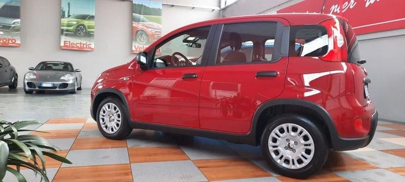 FIAT Panda FIAT Pandina III 2025 CREA IL TUO PREZZO !!DA € 9950