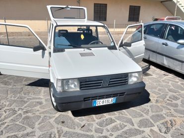 Fiat Panda 1100 i.e. cat Young
