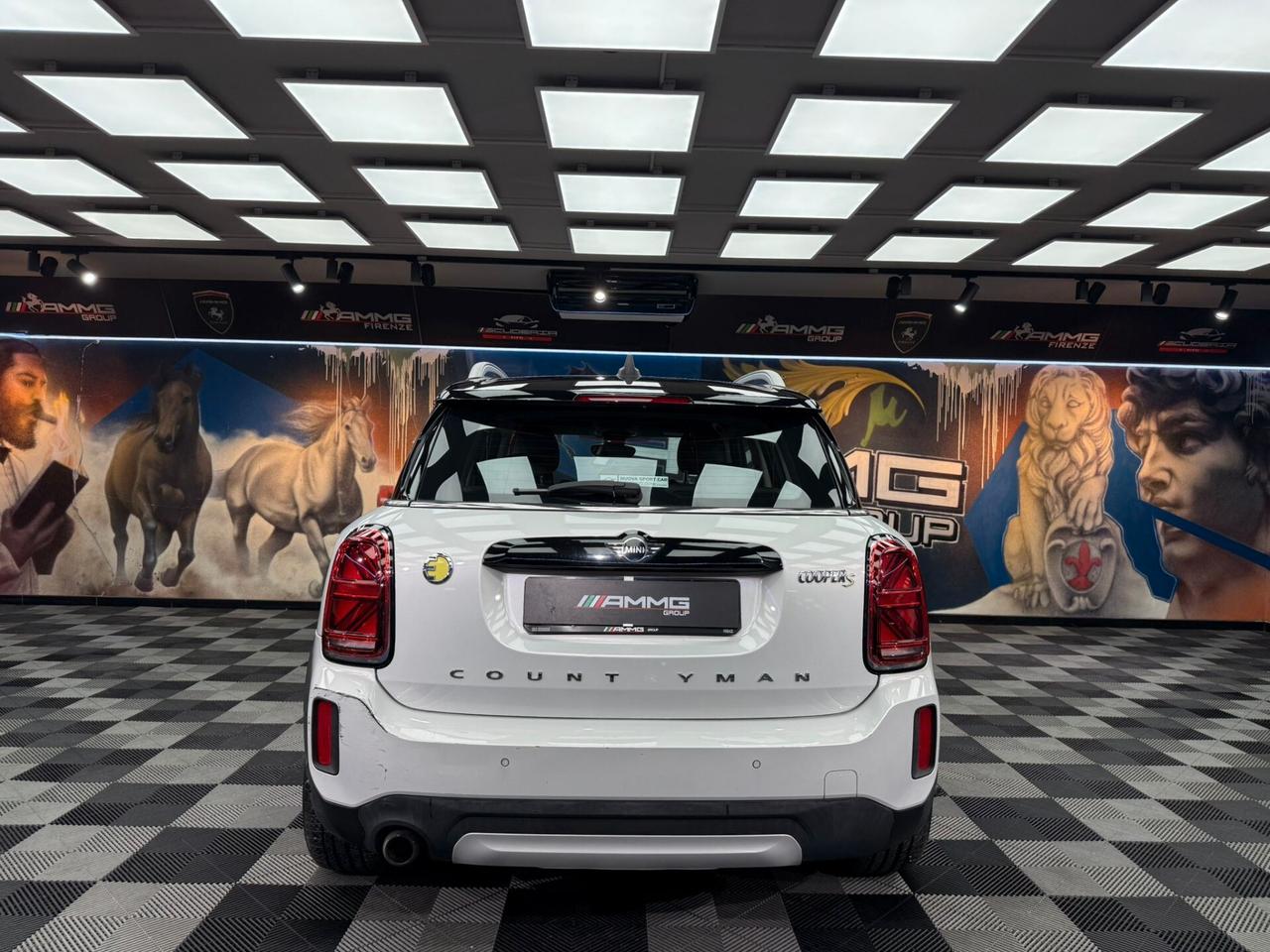 Mini Cooper 1.5 Countryman SE Hype ALL4 Automatica (314)