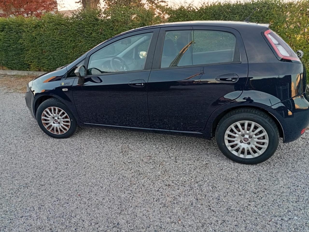 Fiat Punto 1.3 MJT II 75 CV 5 porte AUTOCARRO