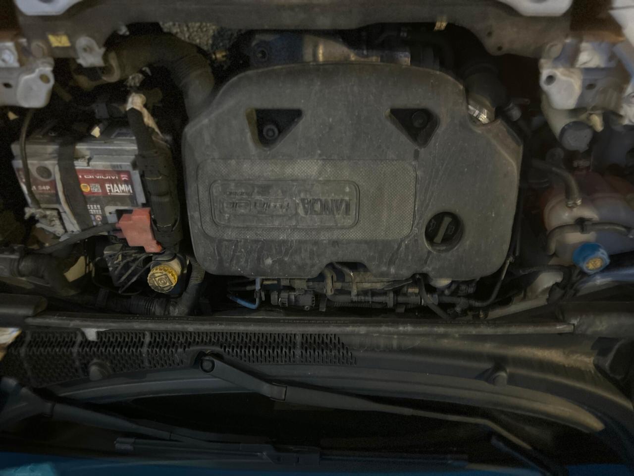 Lancia Ypsilon 0.9 TwinAir 85 CV 5 porte Metano Ecochic Elefantino