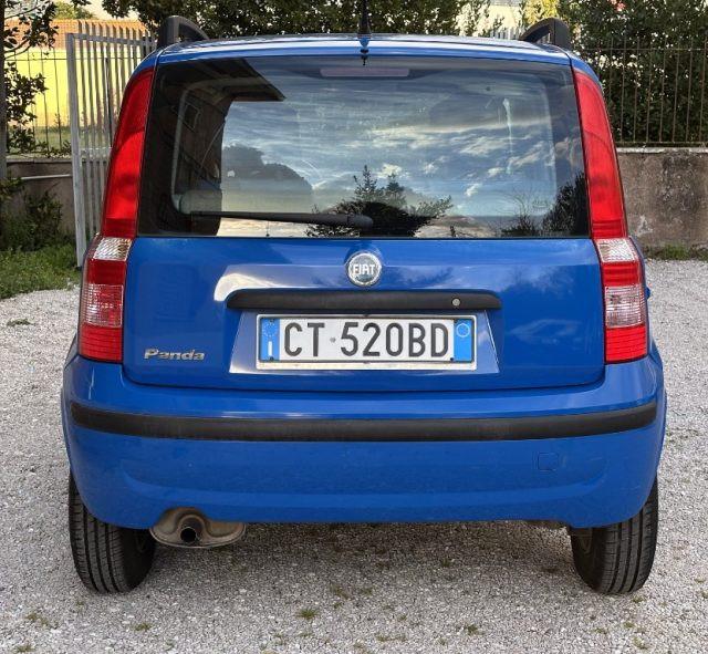 FIAT Panda 1.2 Dynamic 60 CV NEOPATENTATI GARANZIA