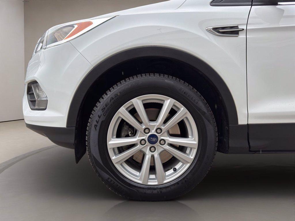 FORD Kuga 1.5 tdci Plus s&s 2wd 120cv del 2017