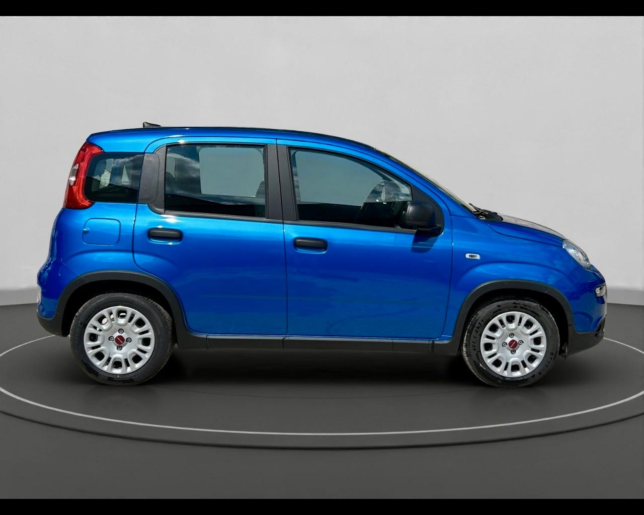 FIAT Panda My24 1.0 70cv Hybrid Panda
