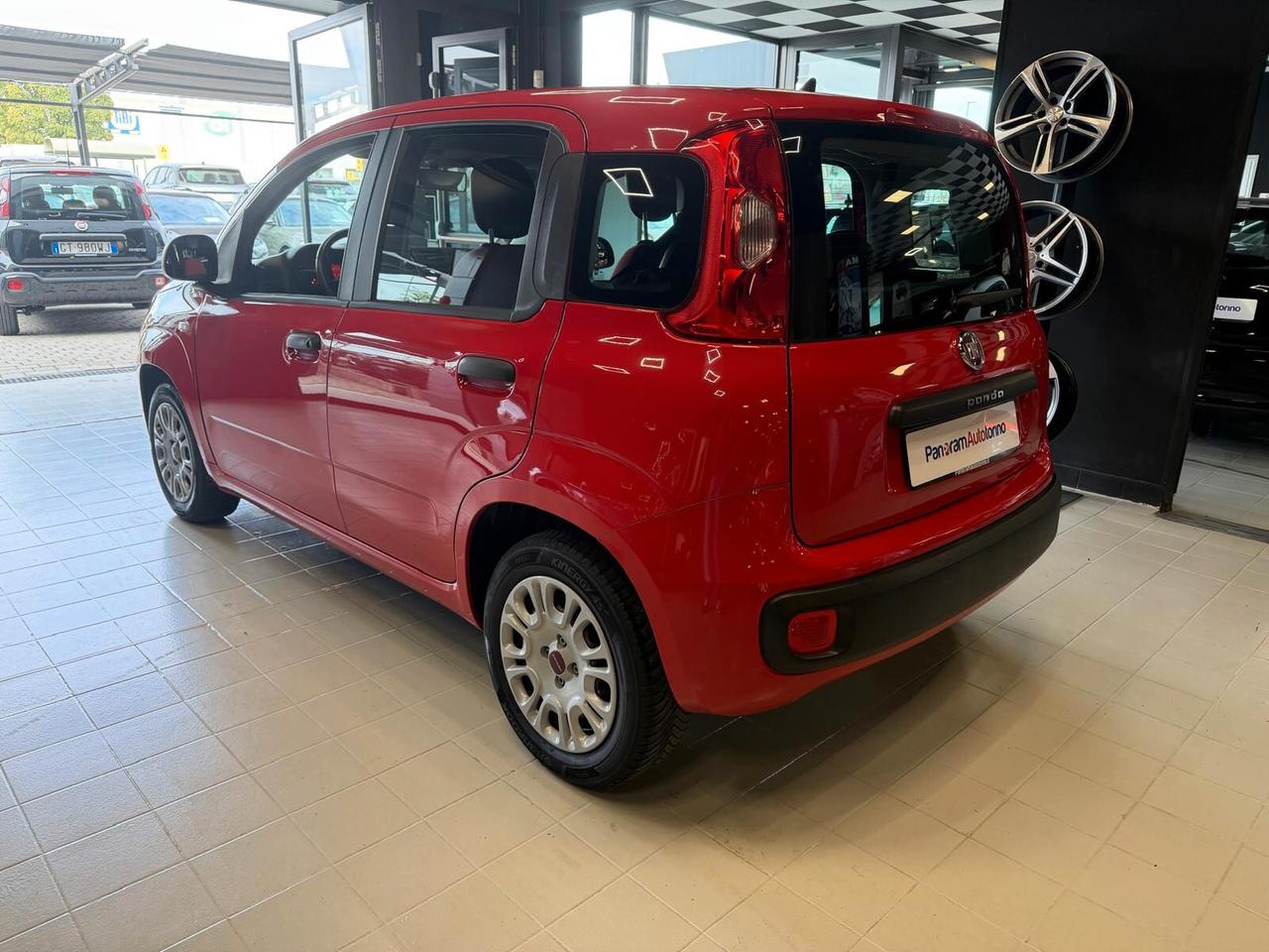FIAT Panda 3ª serie Panda 1.2 Easy