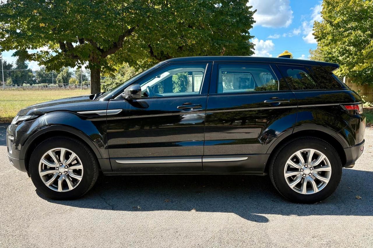 Land Rover Range Rover Evoque 2.0 TD4 150CV 5p. SE