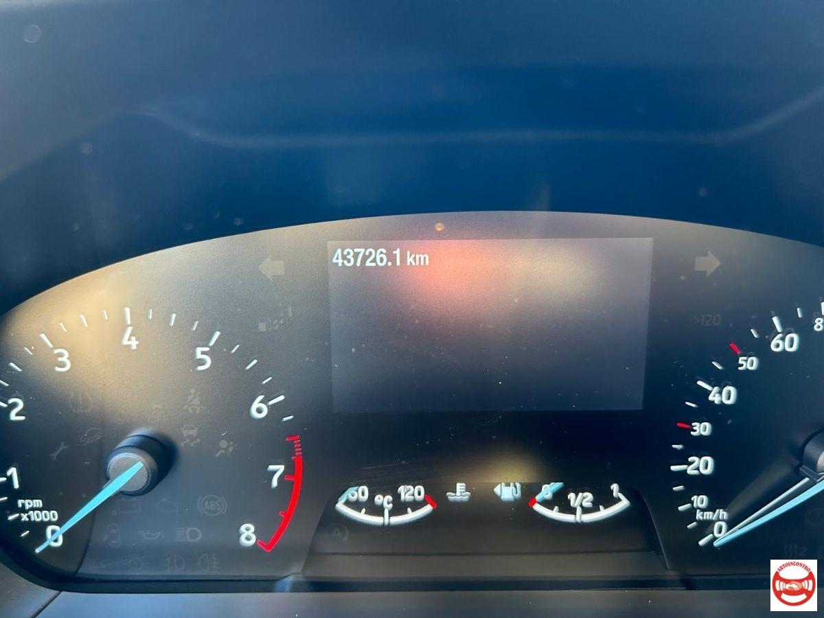 FORD - Focus - 1.0 EcoBoost Hybrid 125CV 5p. Active Style