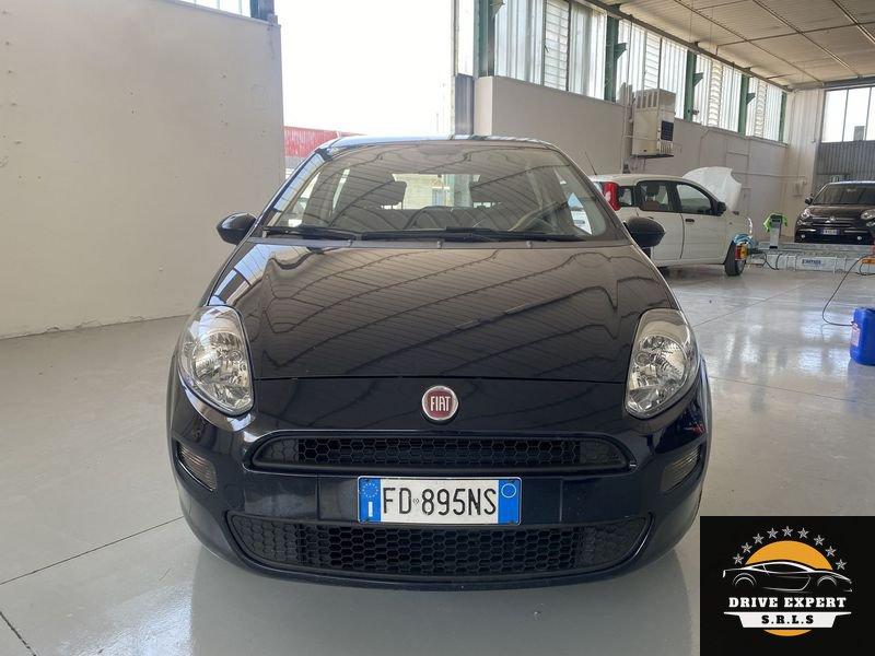 FIAT Punto Punto 1.4 8V 5 porte Natural Power Lounge
