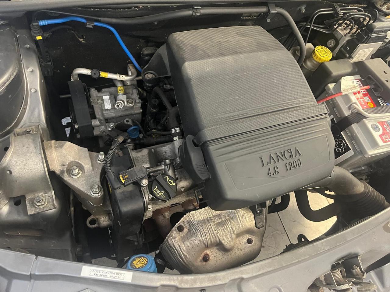 Lancia Ypsilon 1.2 Oro Bianco