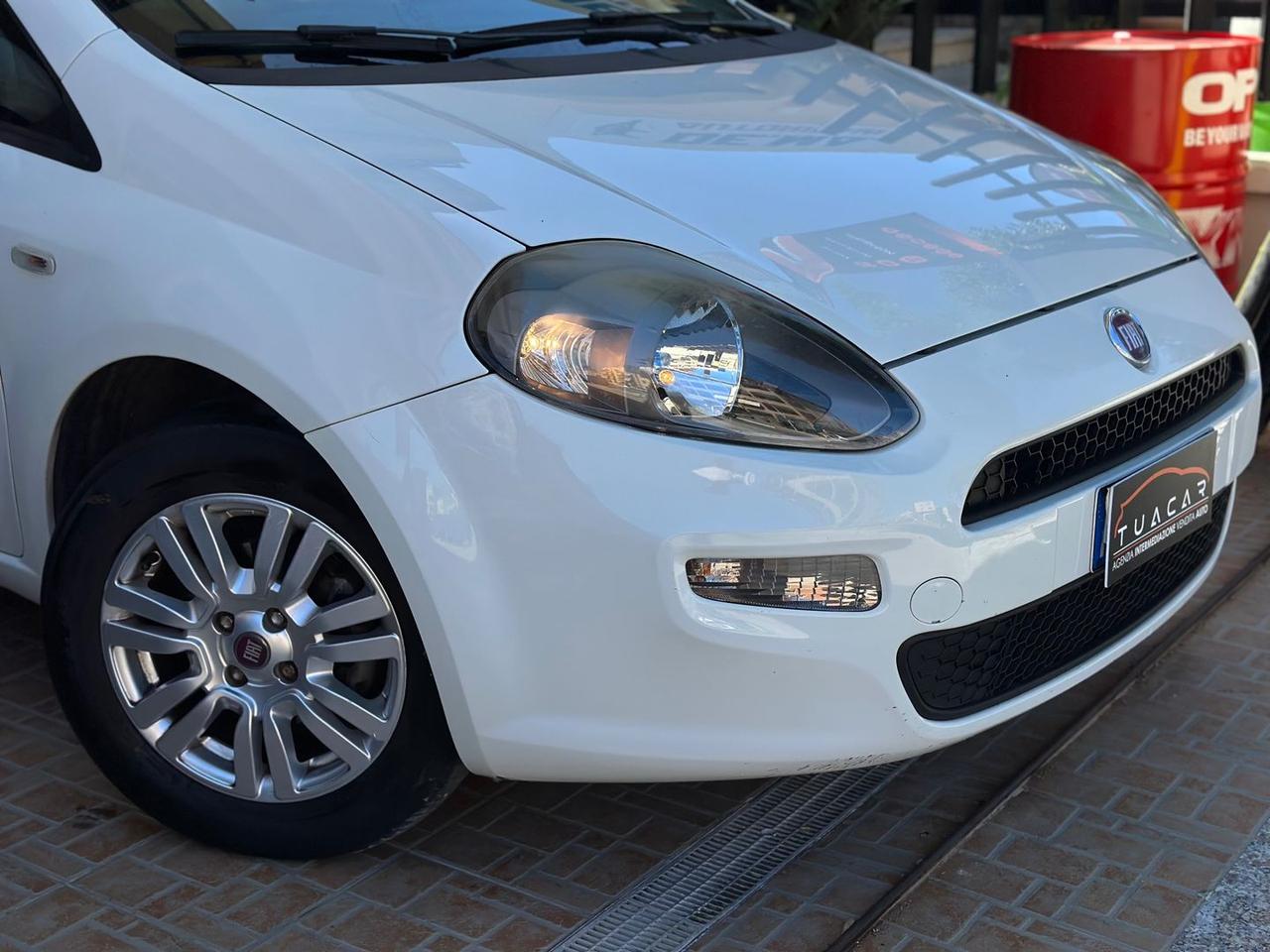 Fiat Punto 1.3 D MultiJet #11591