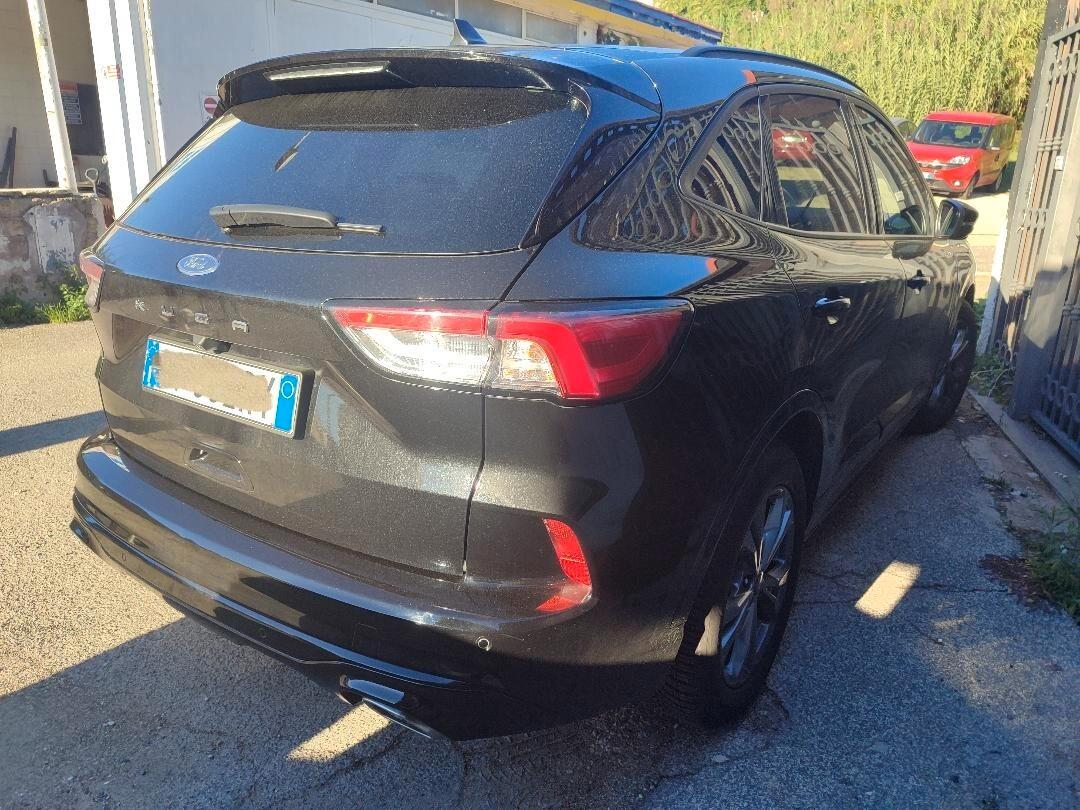 Ford Kuga 2.0 ecoblue ST-Line 2wd 120cv auto