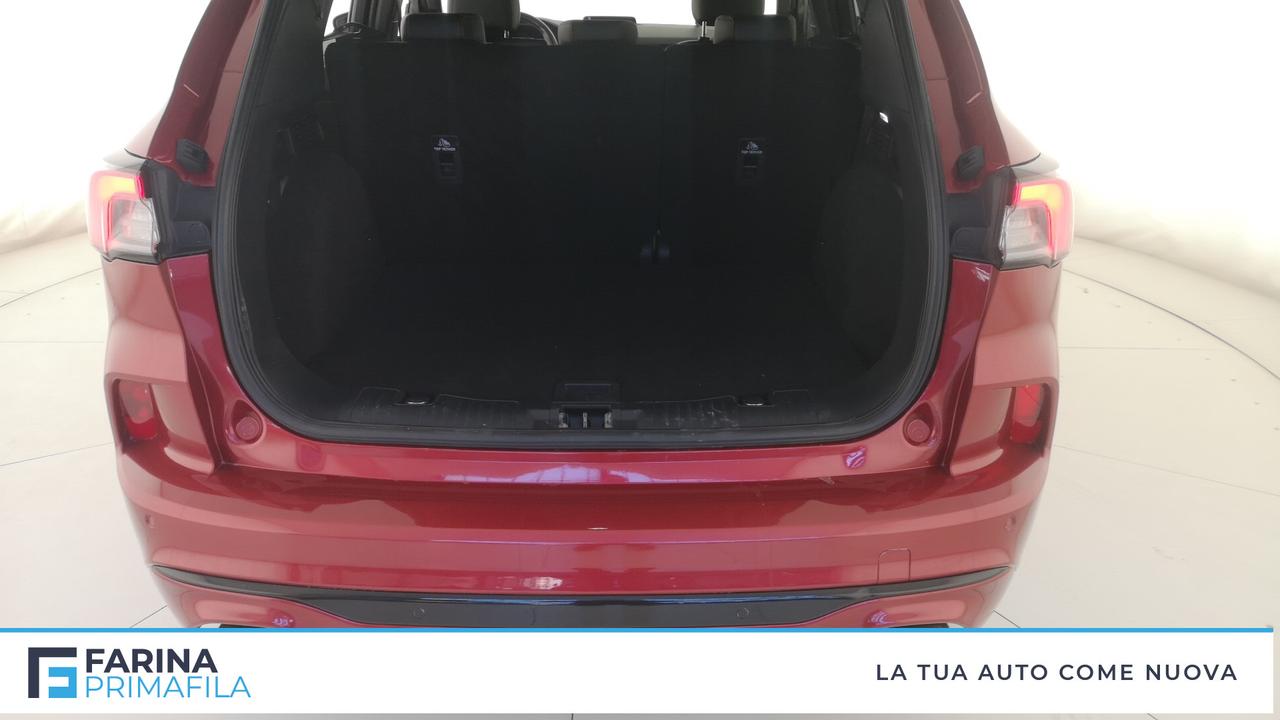 FORD Kuga III 2020 - Kuga 1.5 ecoblue ST-Line 2wd 120cv auto