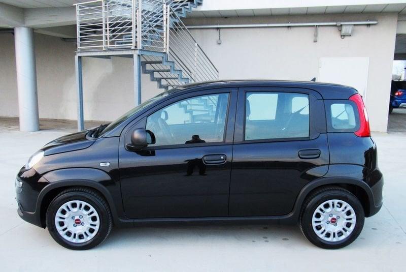 FIAT Panda 1.0 FireFly S&S Hybrid con BONUS EASY GO'