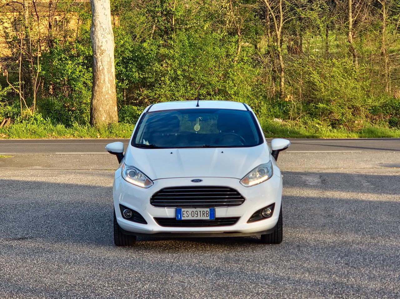 Ford Fiesta 1.0 EcoBoost 100CV 5 porte Titanium Benzina Manuale 2013 E5