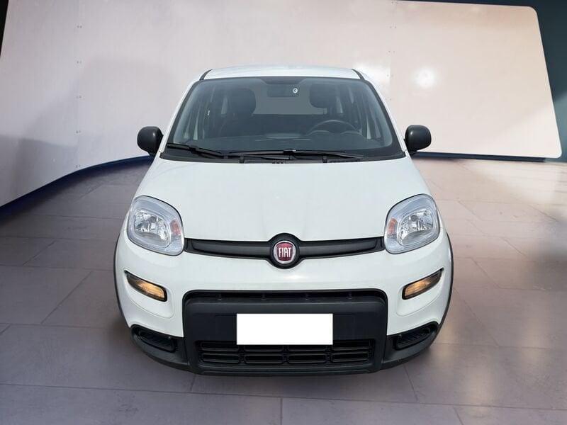 FIAT Panda My23 1.0 70cv Hybrid Panda