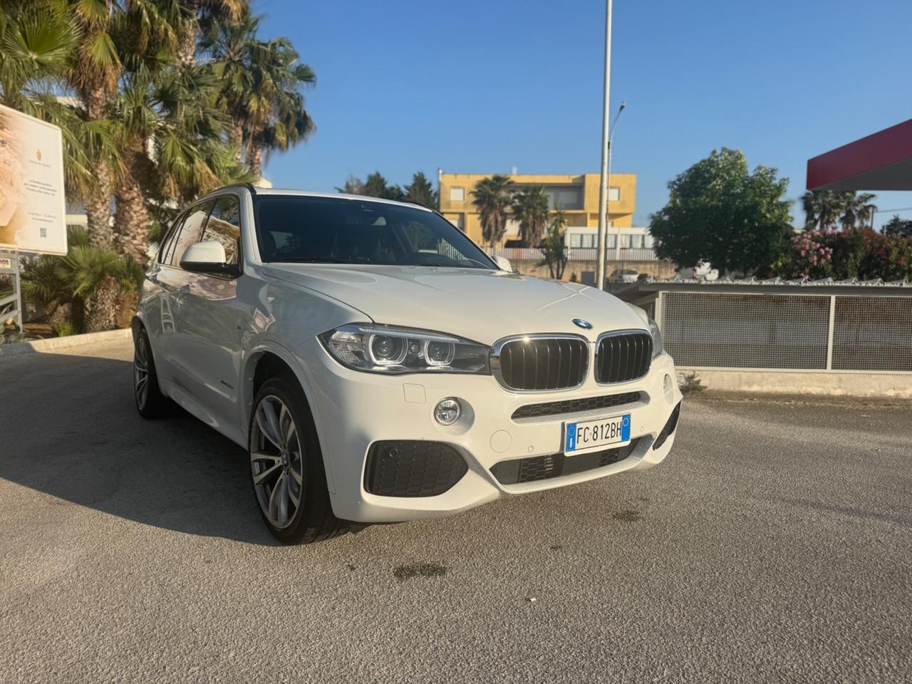 Bmw X5 M X5 sDrive25d Luxury