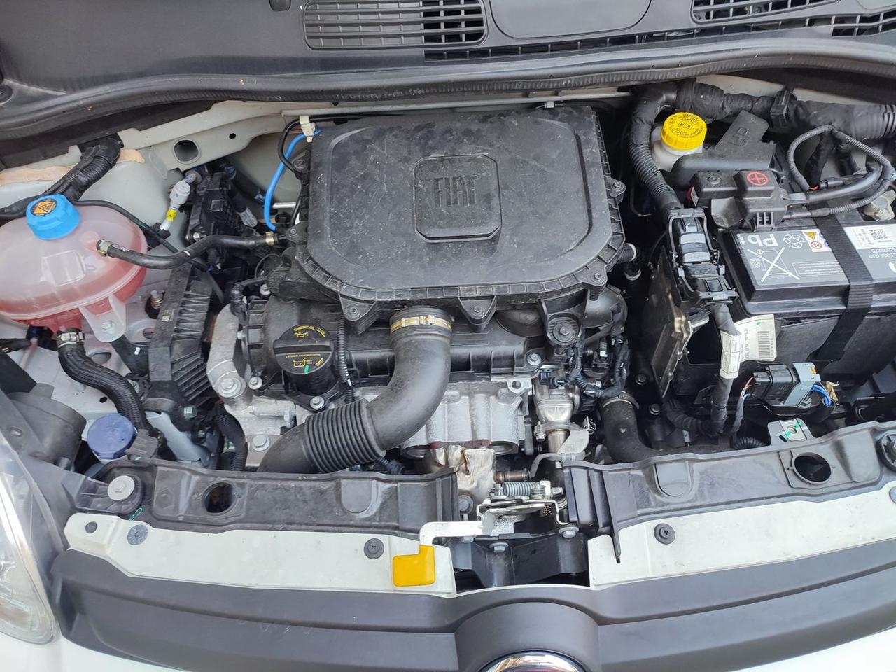Fiat Panda Pandina 1.0 GSE Hybrid s&s 70cv #11995