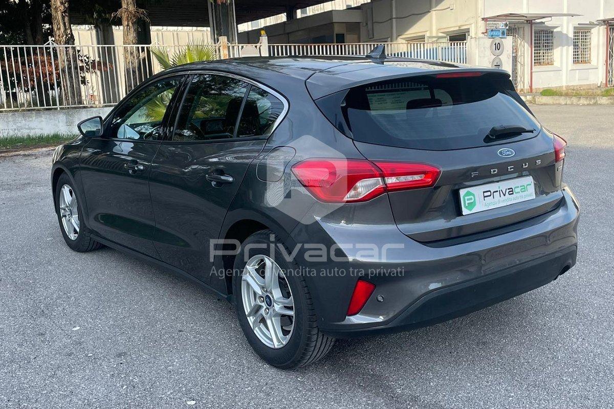 FORD Focus 1.5 EcoBlue 95 CV 5p. Business