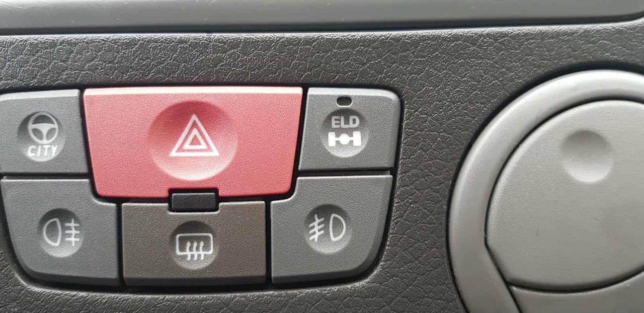 Fiat Panda 1.3 MJT 4x4 ELD