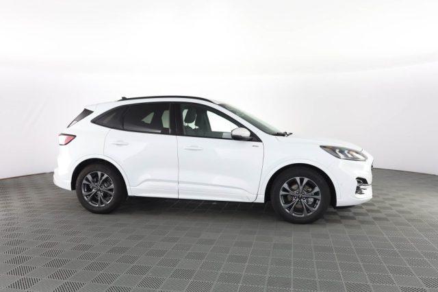 FORD Kuga Kuga 2.0 EcoBlue 120 CV aut. 2WD ST-Line