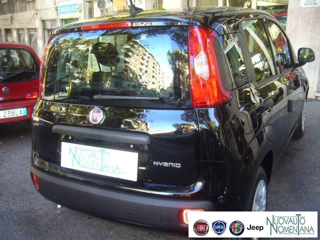 FIAT Panda 1.0 FireFly S&S Hybrid 5°posto Pack City Km0