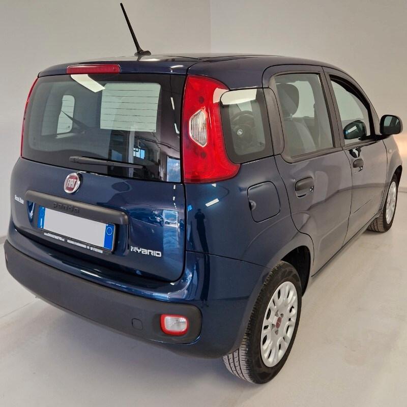 FIAT Panda 3ª serie Panda 1.0 FireFly S&S Hybrid