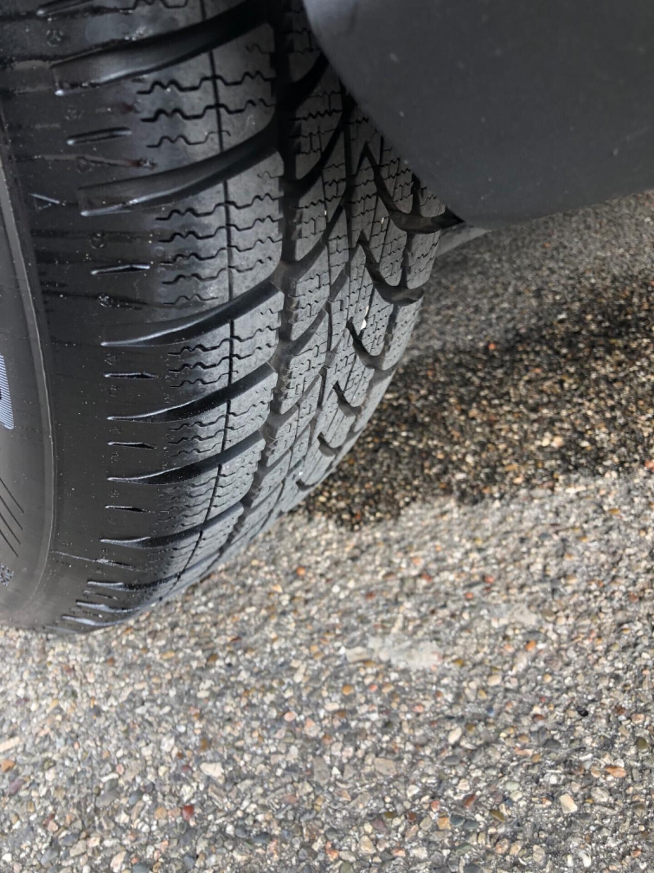 Ford Focus 1.5 EcoBlue 95 CV SW SUPER PREZZO