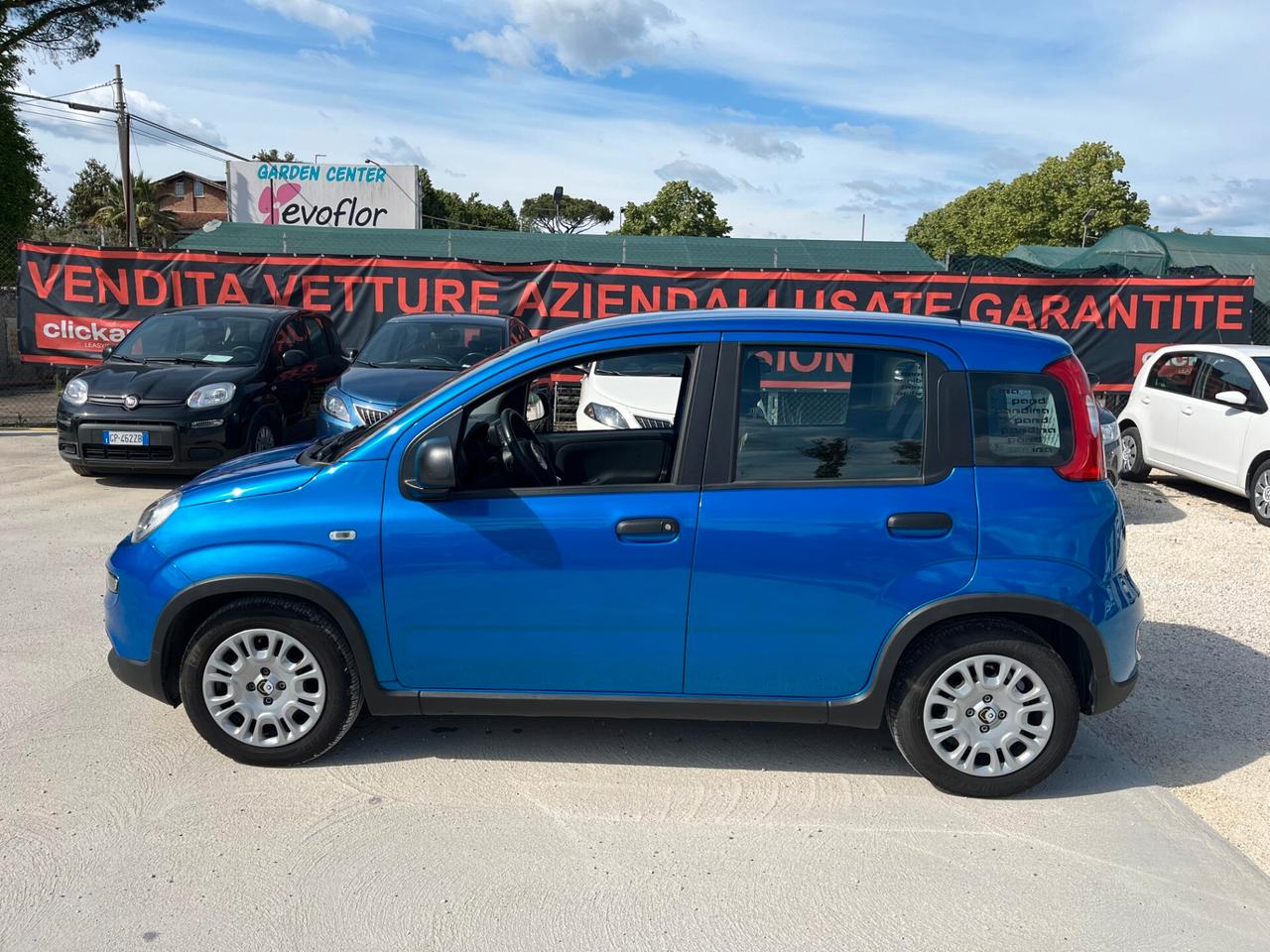 Fiat Panda 1.0 FireFly S&S Hybrid Pandina - (PROMO MESE) - Unico proprietario - 10.135 KM
