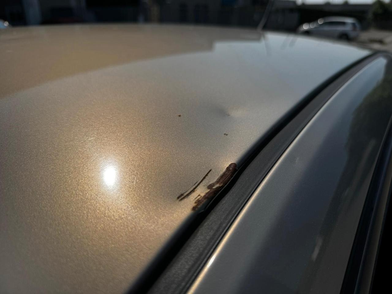 Lancia Ypsilon 1.2 Elle