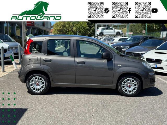 FIAT Panda 1.0 FireFly S&S Hybrid Sensori Parcheggio