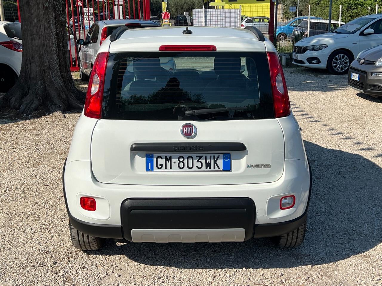 Fiat Panda 1.0 FireFly S&S Hybrid "PREZZO REALE"