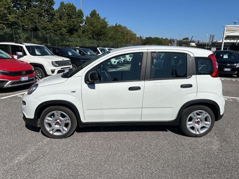 FIAT Panda New My23 1.0 70cv Hybrid Panda