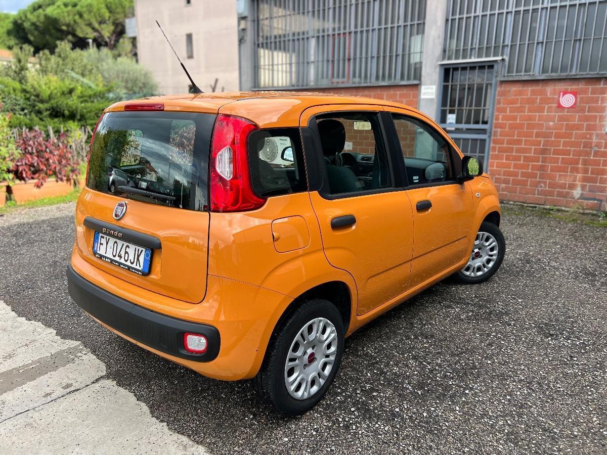 FIAT - Panda 1.2 Easy s&s 69cv my19