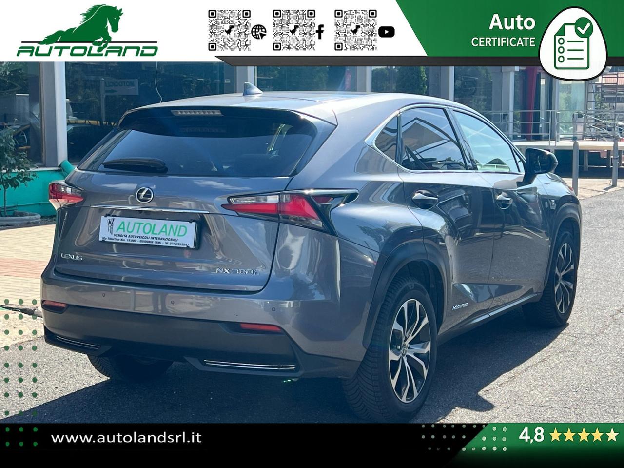 Lexus NX 300h 2.5 F-Sport 4wd
