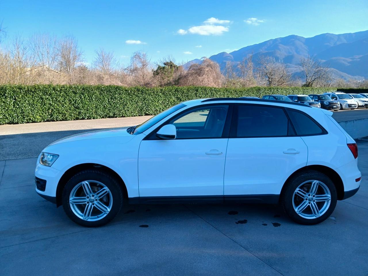 Audi Q5 2.0 TDI 170cv quattro anno 2012