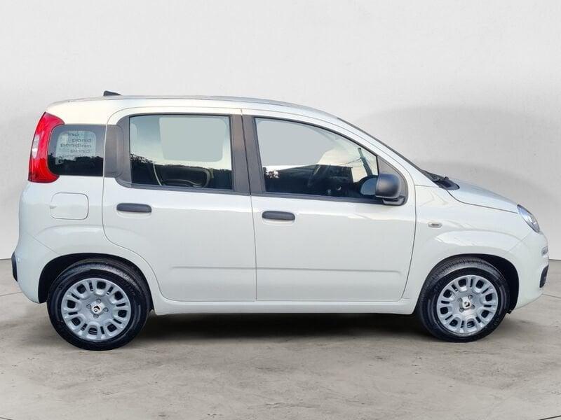 FIAT Panda NEW 1.0 70cv Hybrid Pop