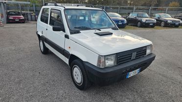 Fiat Panda 900 i.e. cat Young