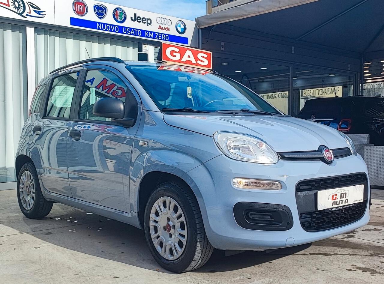 Fiat Panda 1.2 GPL casa madre italiana 10/2019