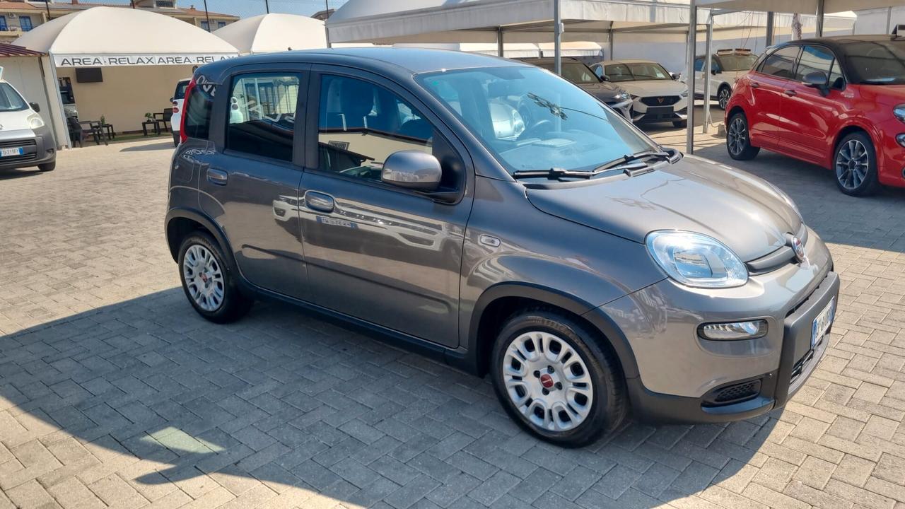 Fiat Panda 1.0 FireFly S&S Hybrid