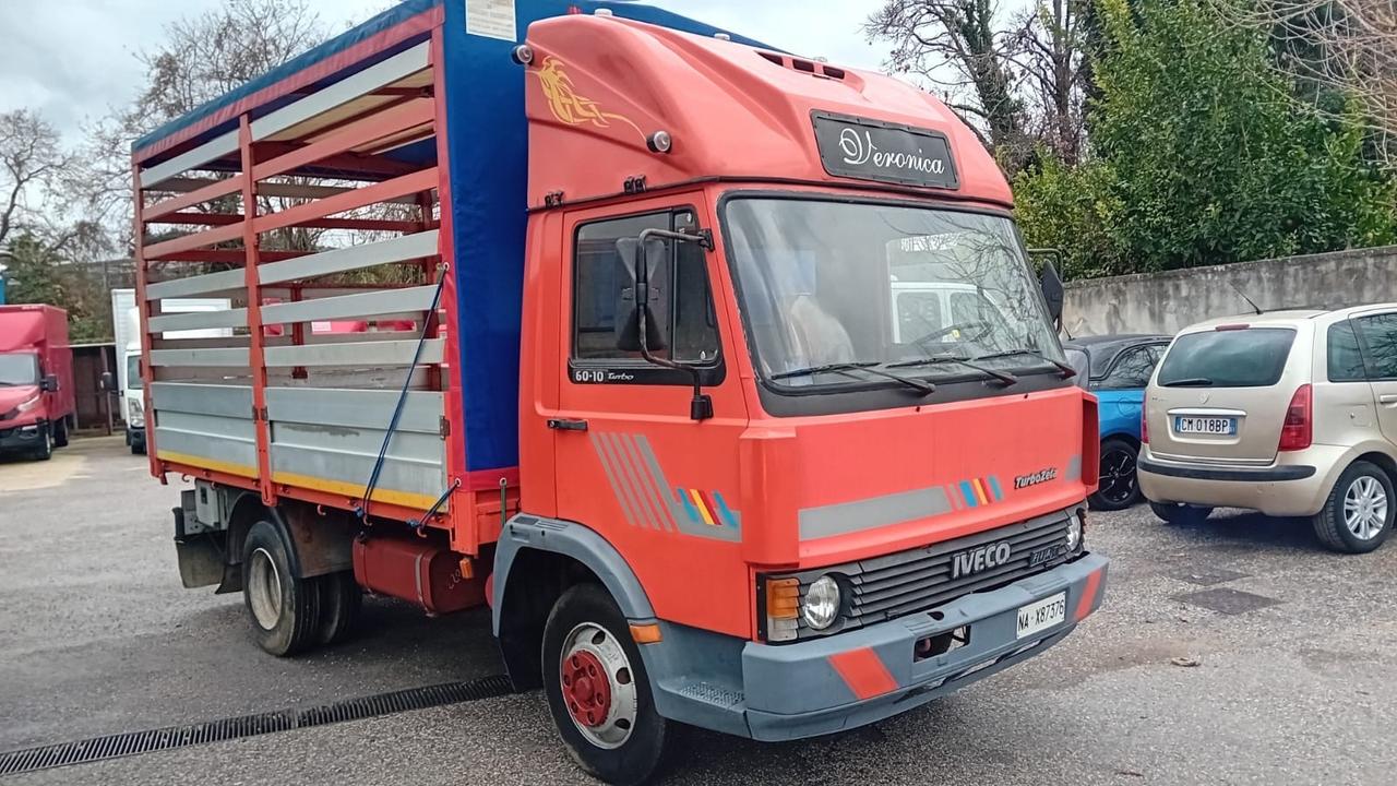 Iveco Seleziona Iveco turbo zeta 50-10-cassone con centina -1984