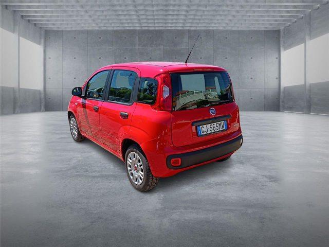 FIAT Panda 3ª serie 1.0 FireFly S&S Hybrid
