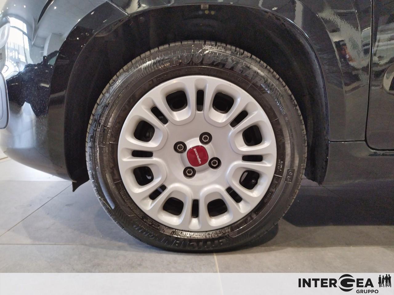 FIAT Panda 1.0 firefly hybrid s&s 70cv 5p.ti