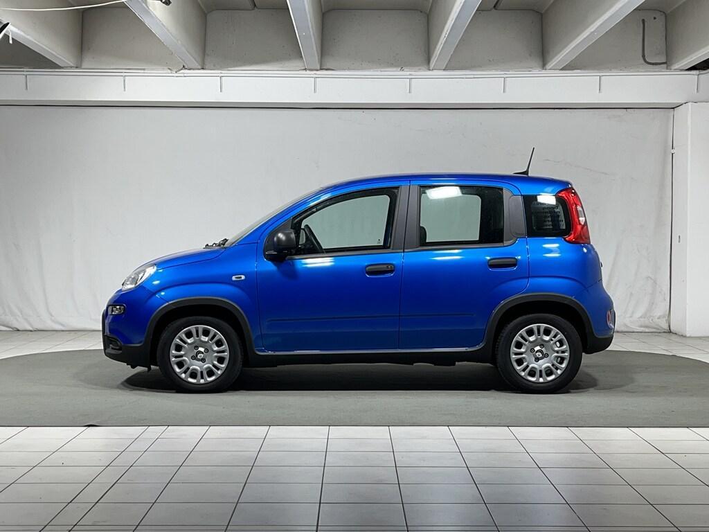 Fiat Panda 1.0 firefly hybrid s&s 70cv