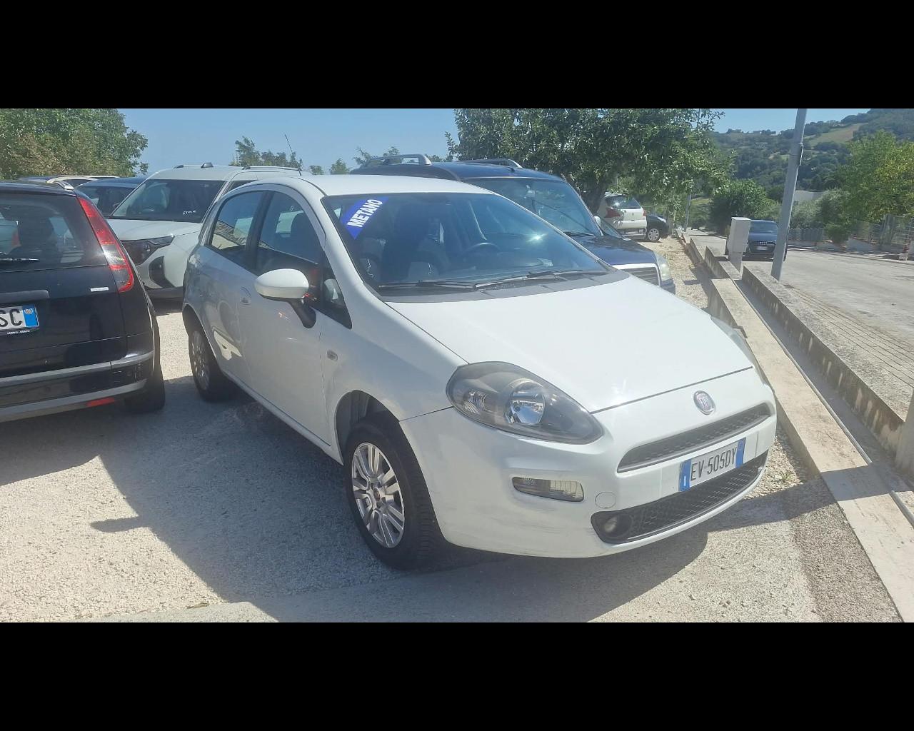 FIAT Punto 1.4 8V 5 porte Natural Power Lounge