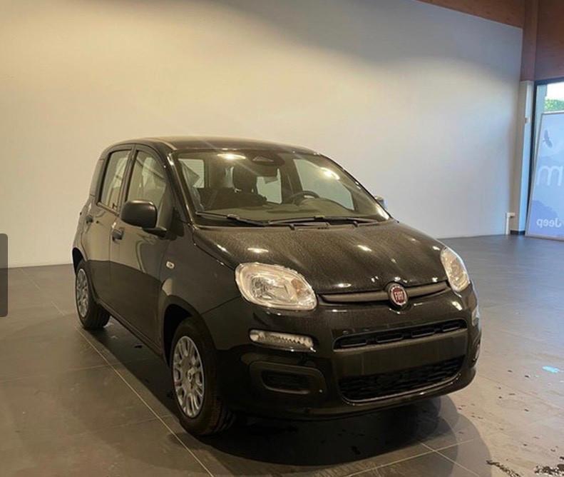 Fiat Panda 1.0 FireFly S&S Hybrid Icon