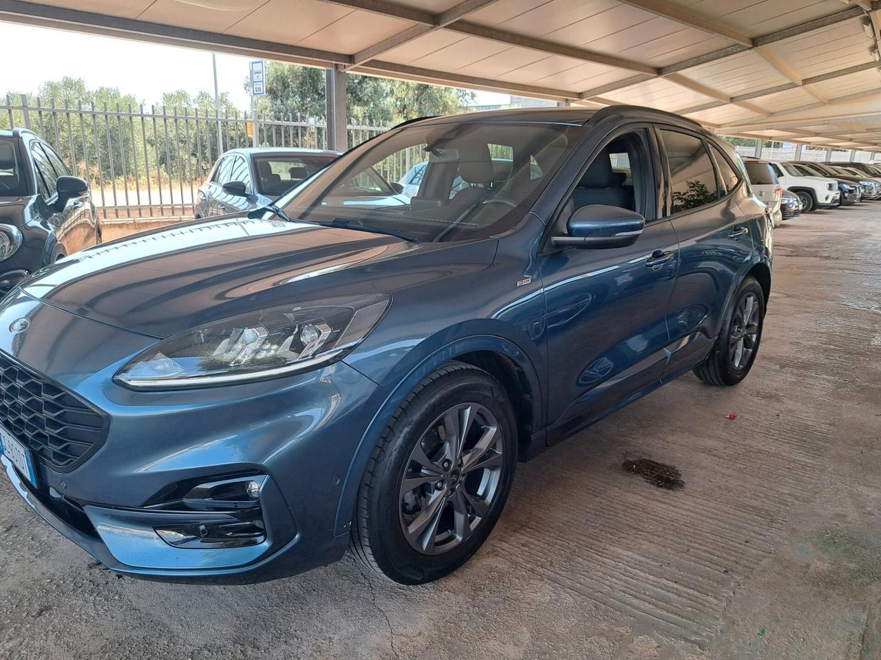 Ford Kuga 1.5 EcoBlue 120 CV aut. 2WD ST-Line
