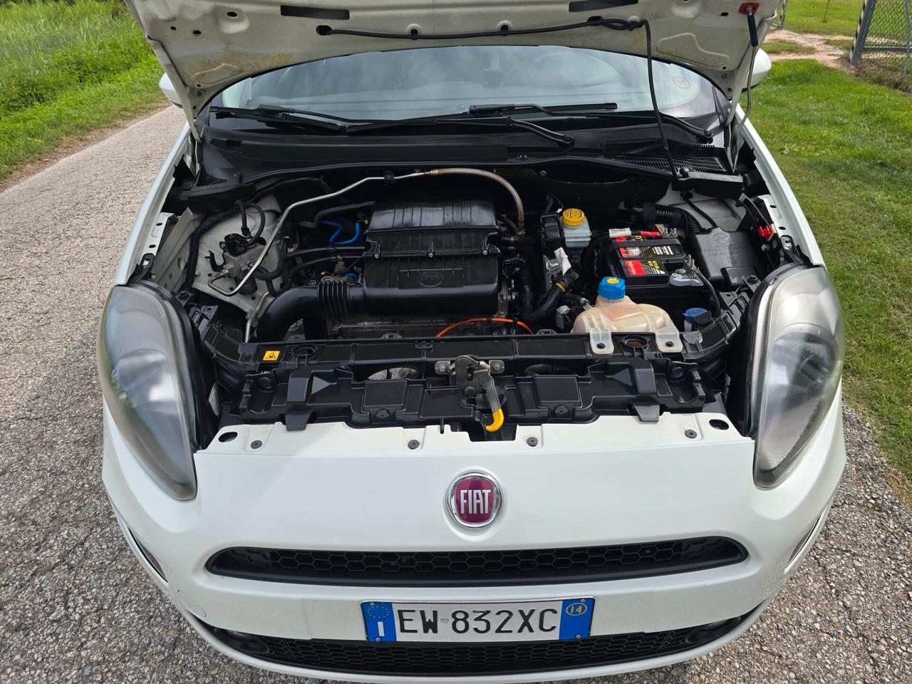 Fiat Punto 1.4 Natural Powver- Con GARANZIA - NEOPATENTATI