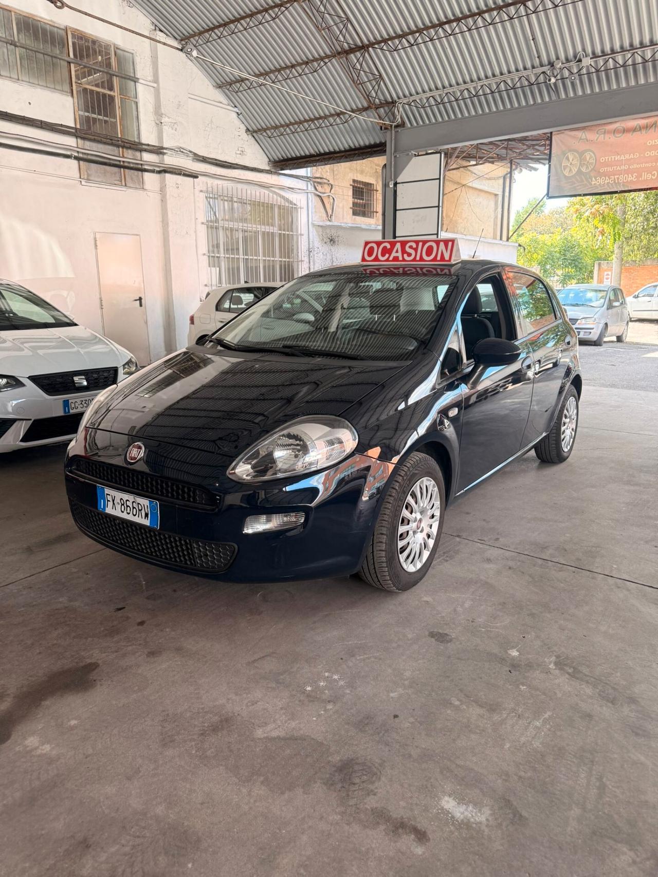 Fiat Punto 1.2 8V 5 porte Street