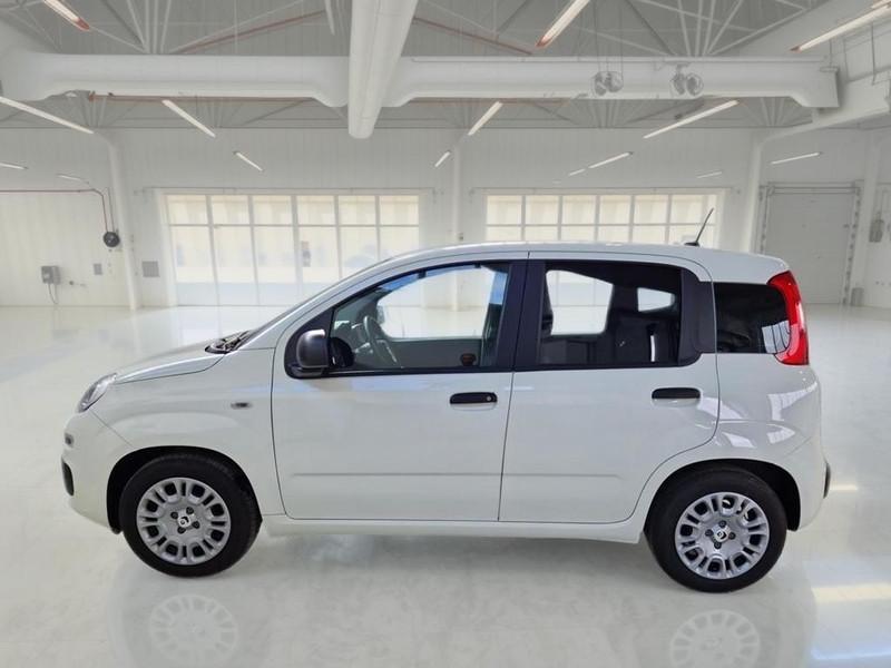 FIAT PANDINA 1.0 FIREFLY 65 CV SES 6M HYBRID ICON 5 PORTE BERLINA