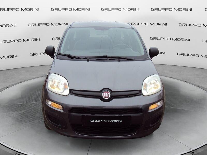 FIAT Panda Panda 1.2 Pop